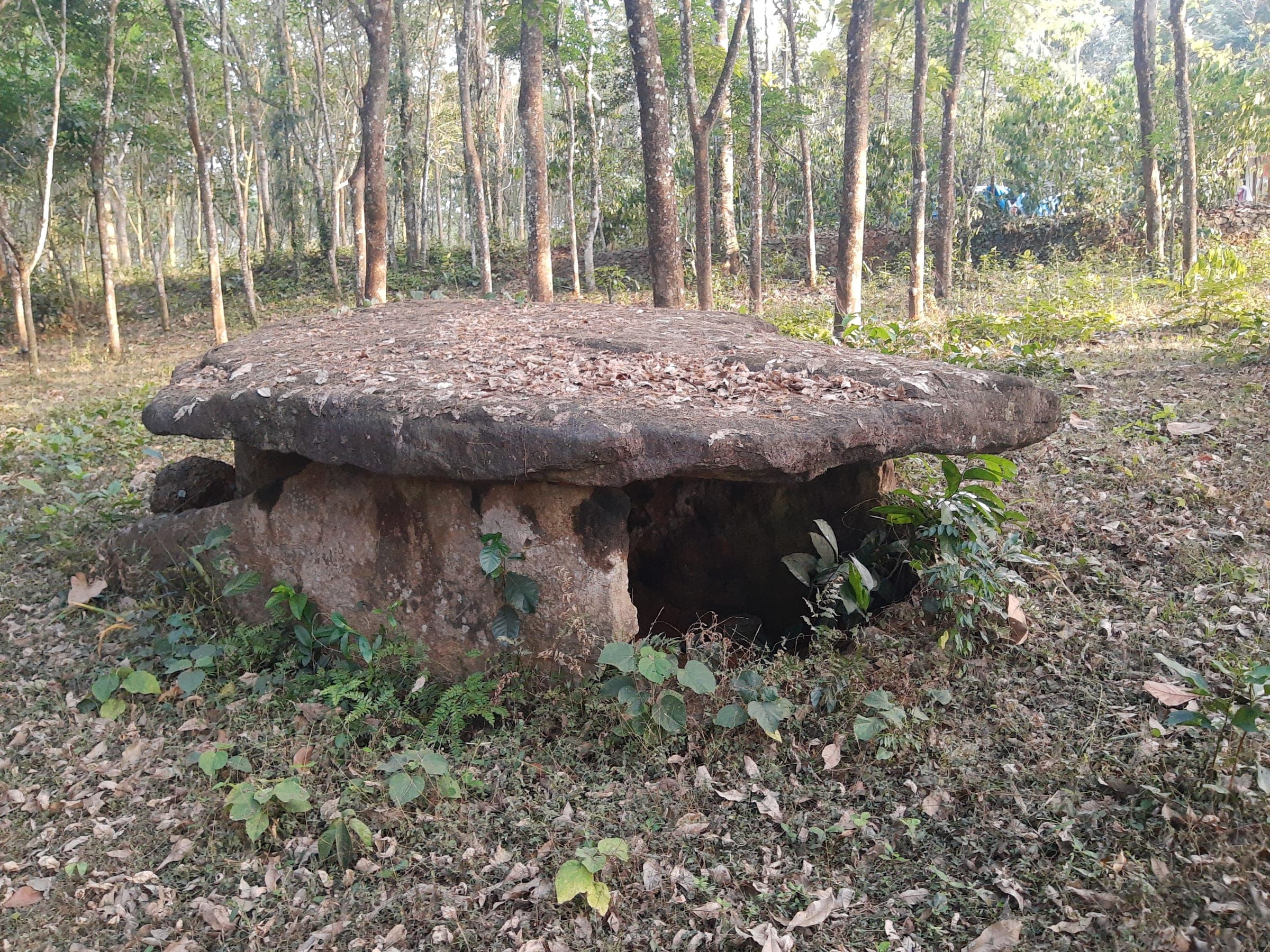 Kerala heritage photo