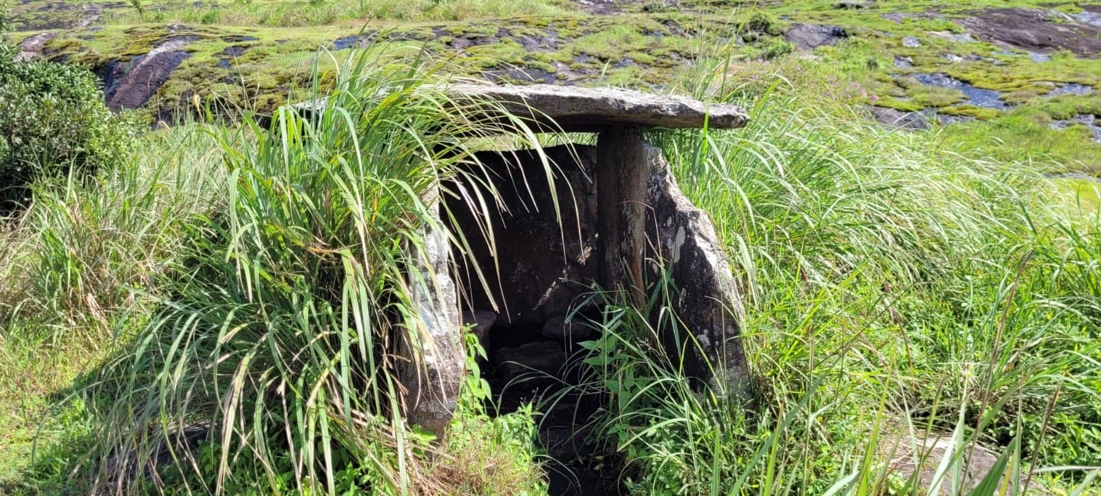 Kerala heritage photo
