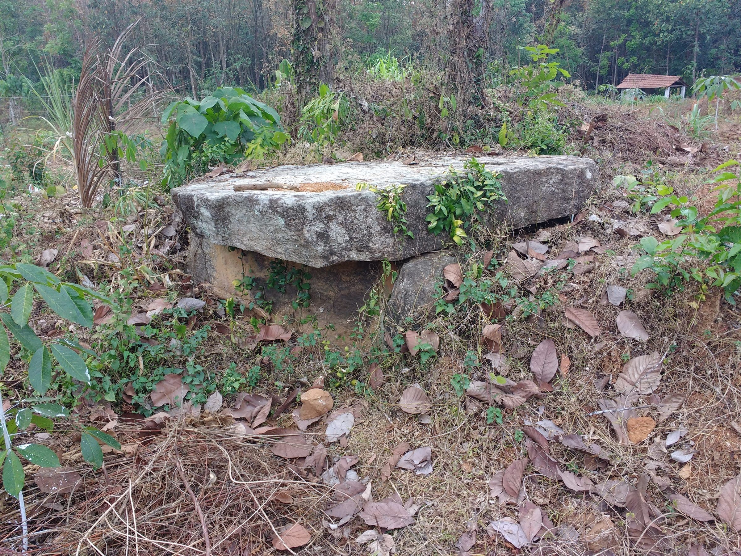 Kerala heritage photo